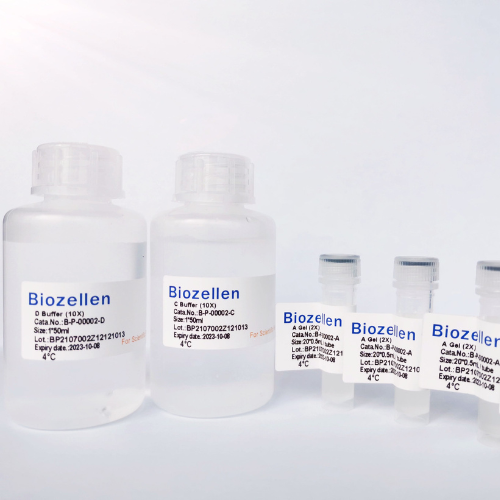 Biozellen?3D細胞培養(yǎng)基質(zhì)膠套裝